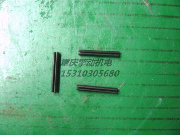 康明斯?jié)L柱銷 161737