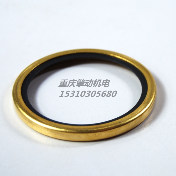 康明斯節(jié)溫器密封圈 186780