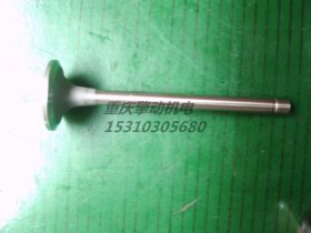 康明斯進(jìn)氣門(mén) 207241