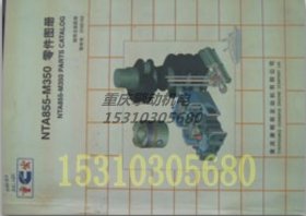 康明斯NTA855-M350零件圖冊 3166182