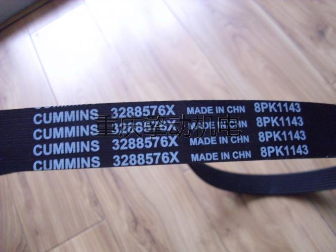 康明斯多槽皮帶 3029175-1