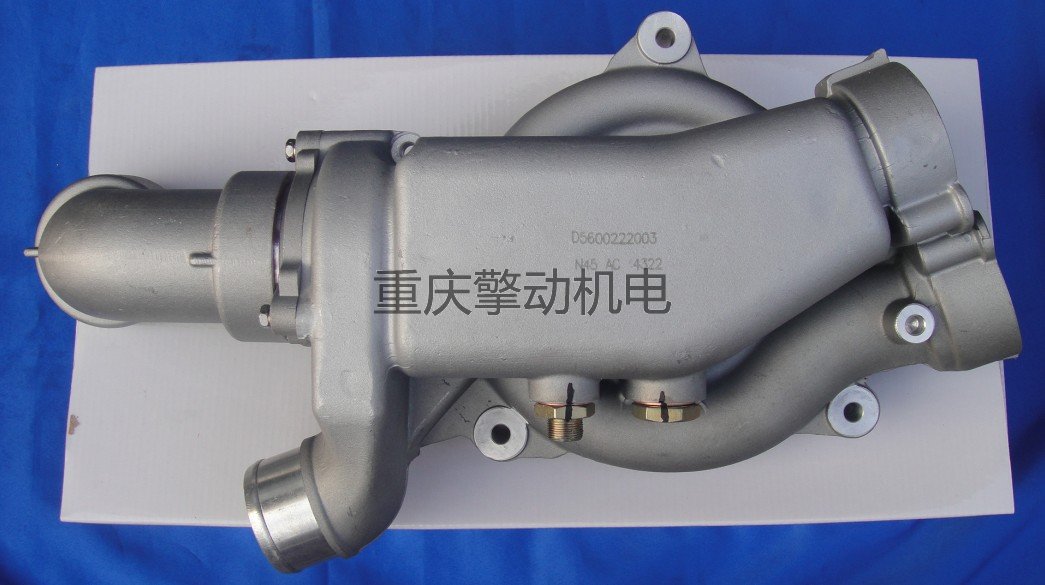 康明斯雷諾水泵 D5600222003