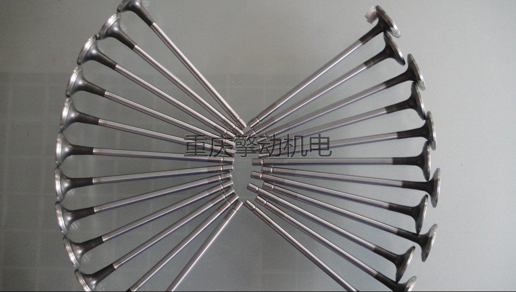 康明斯雷諾進(jìn)排氣門 D5010359502-D501041287